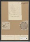 Aulacodiscus beeveriae Johns (de-Toni-Nr.: Genus 182, Species 4490) Zeichnungen Sammlung Grunow Nr. 8053 (NHMW-BOT-W0377367)